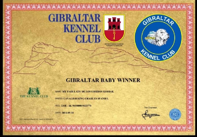 De Los Ursidos Kodiak - My Fair Lady de los Ursidos Kodiak, Gibraltar baby winner 2016